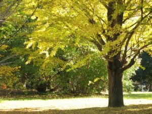 投稿についてもっと詳しく Hello world!